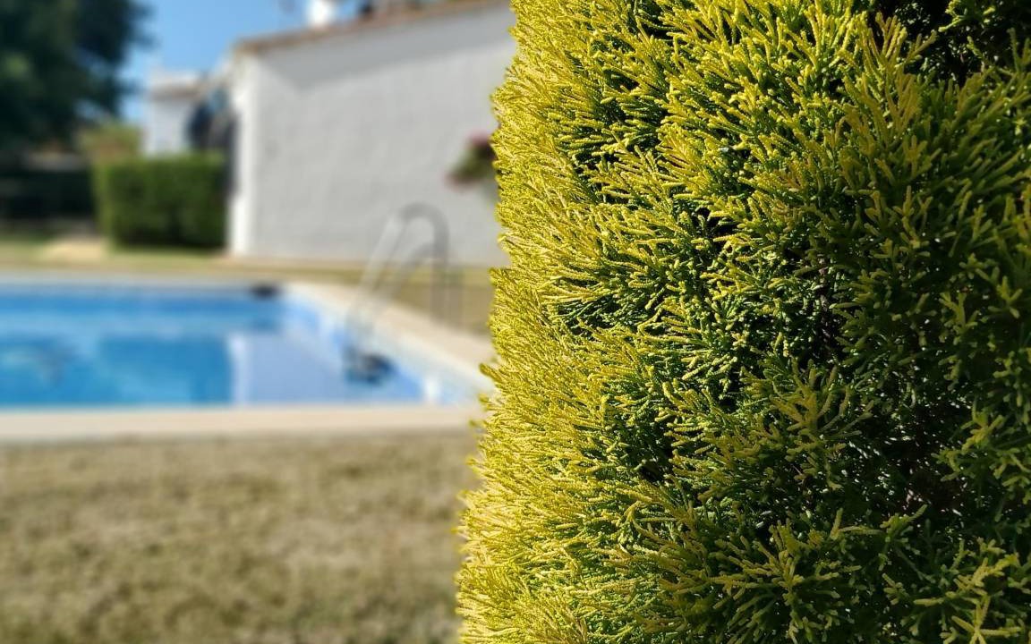 San Pedro de Alcantara Villa | 88 m² Villa ∙ 2 bedrooms ∙ 4 guests
