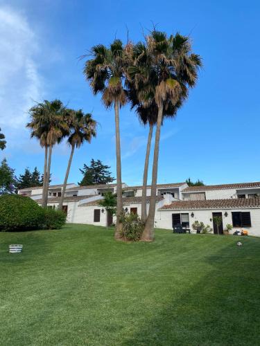 Artola House | CASITA ART-OLA