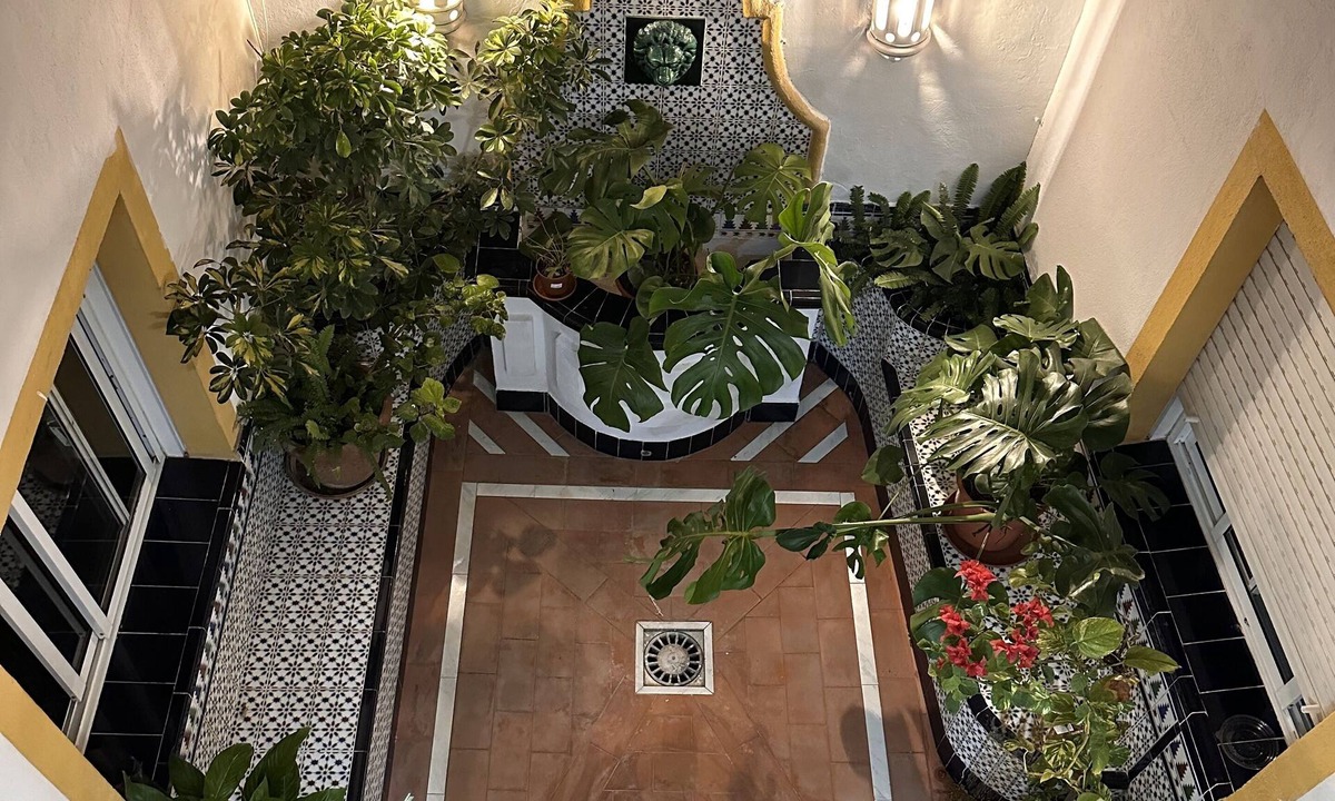 San Pedro de Alcantara Hotel | Hostal San Felipe