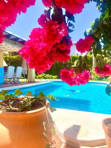 Carib Playa Villa | Villa Moumi