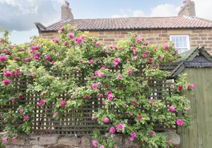 105 m² Cottage ∙ 2 bedrooms ∙ 4 guests