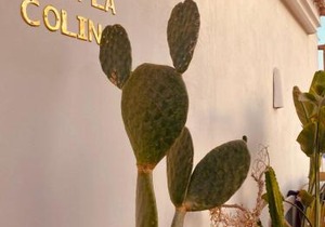 Casa de Colina - great seaview - Marbella