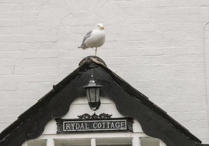 Rydal Cottage