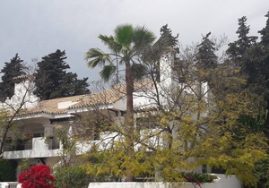 Studio in Puerto Banus, Marbella for Holidays or Business. POOL-PARKING-GARDE