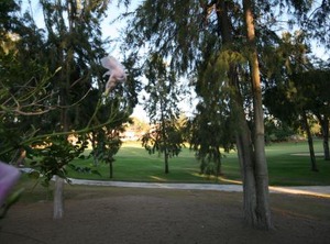 Greenlife Village | Marbella