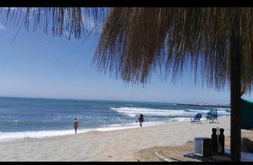 Carib Playa Apartment | 56 m² Apartment ∙ 1 bedroom ∙ 2 guests
