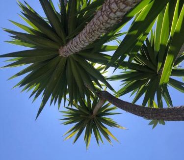 Urbanizacion Costabella Villa | Authentic Andalucia