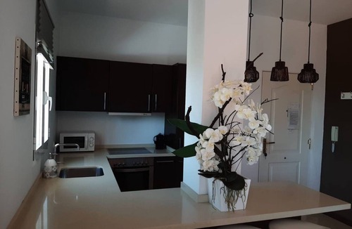 Elviria Villa | New Luxery Villa With Big Pool