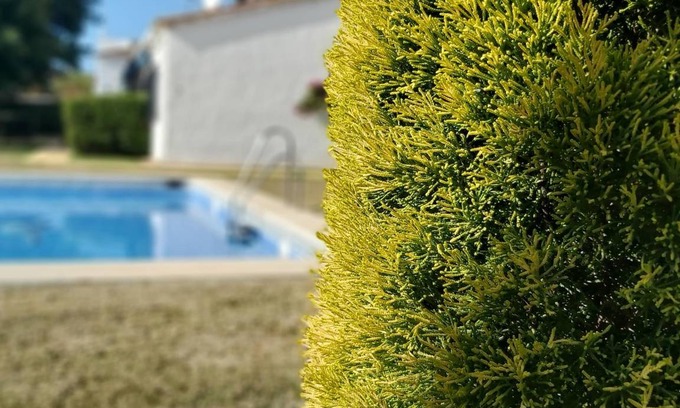 San Pedro de Alcantara Villa | 88 m² Villa ∙ 2 bedrooms ∙ 4 guests