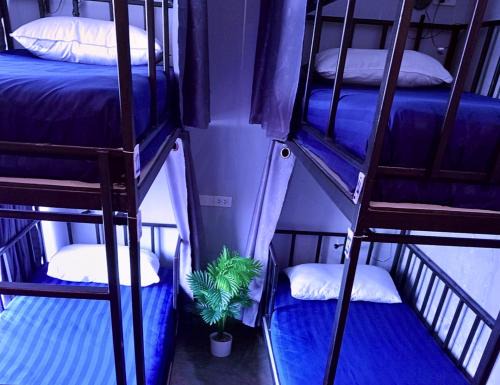 Suan Luang Hostel | Bangkok BM B&B Backpacker