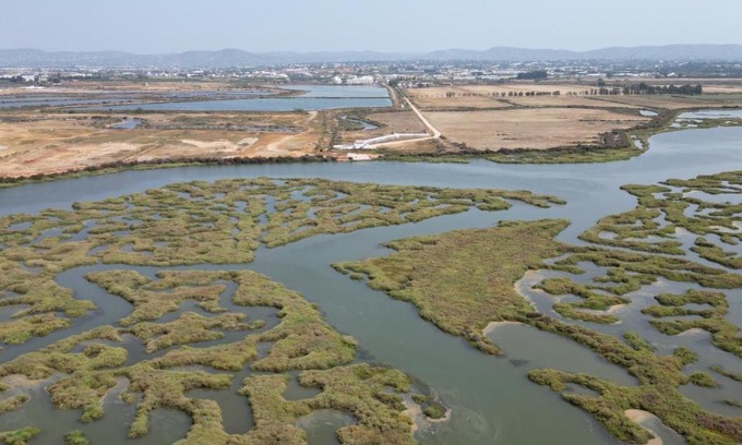 Faro House | Herdade dos Salgados do Fialho