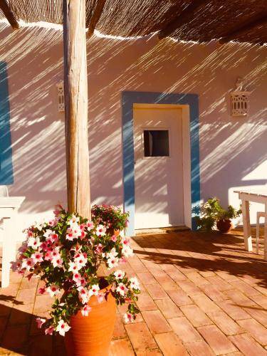 Photo of Others in Penina