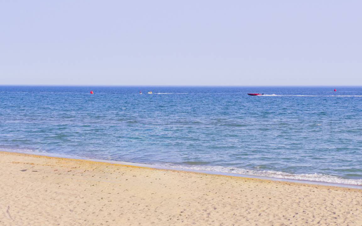 Photo of Others in Marbella