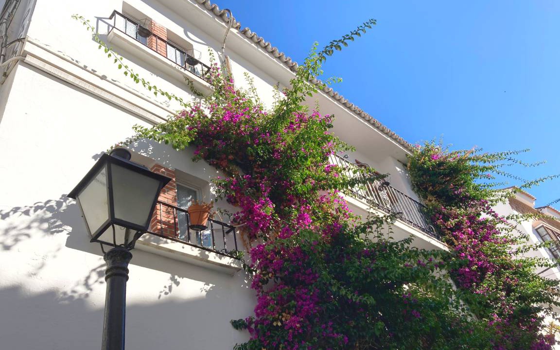 Photo of Others in Marbella City Centre