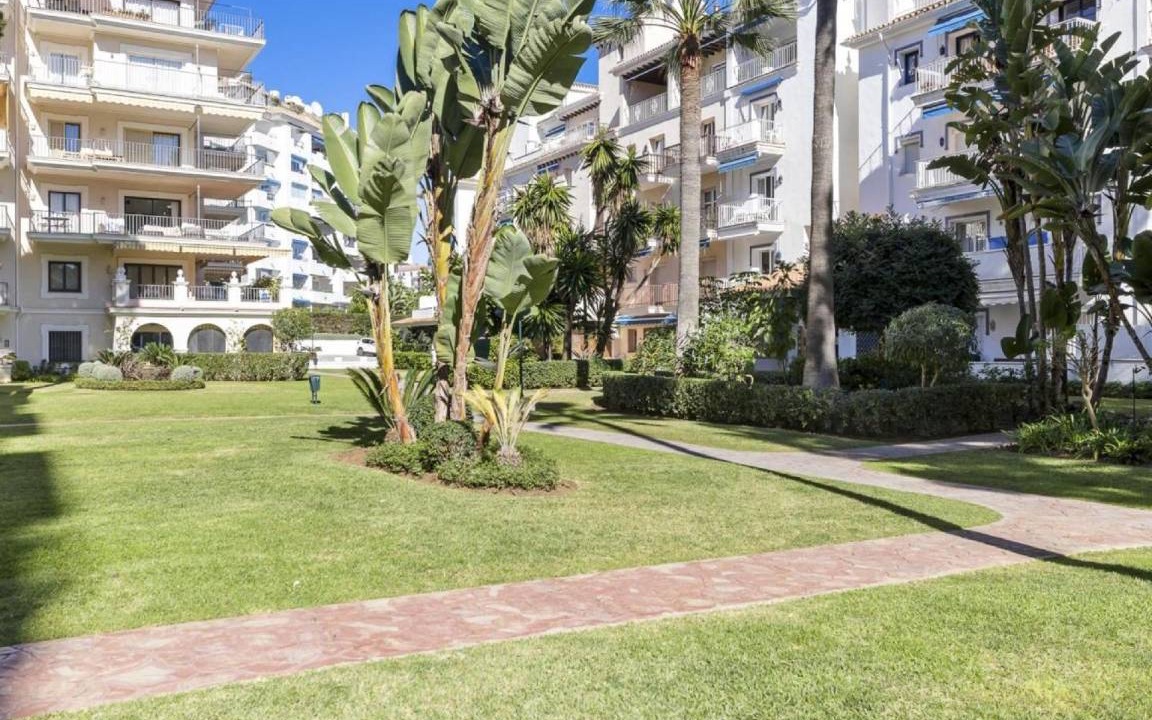 Photo of Others in Puerto Banus