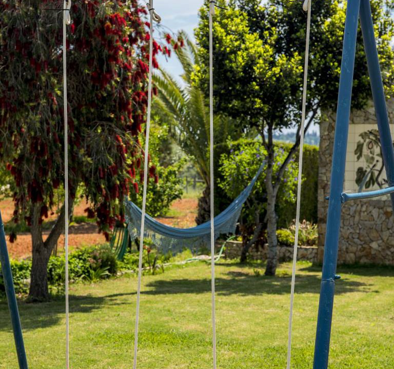 Photo of Others in Alfarrobeira