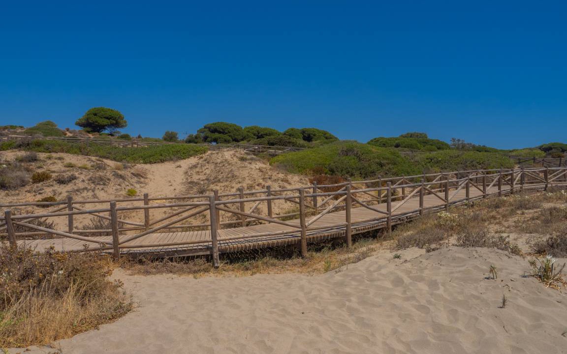 Photo of Others in Cabopino