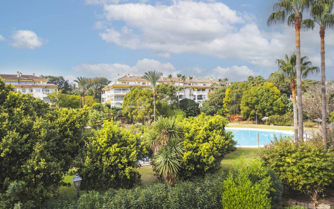 Photo of Others in Marbella