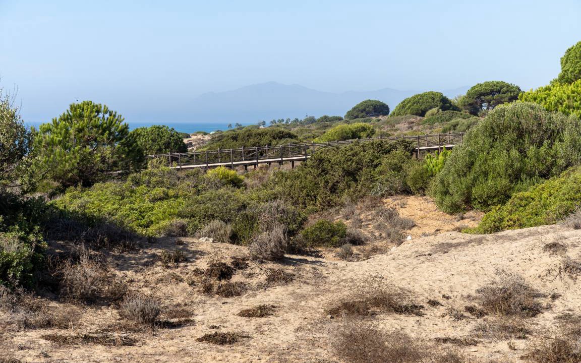 Photo of Others in Cabopino