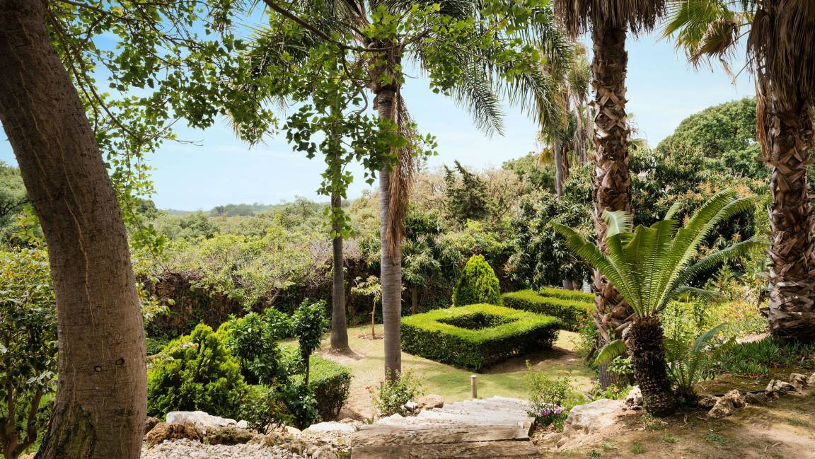 Photo of Others in Urbanizacion Hacienda las Chapas