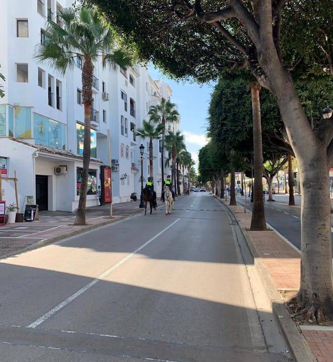Photo of Others in Puerto Banus