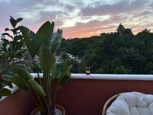 Photo of Patio Balcony in Urbanizacion Pinos Verdes