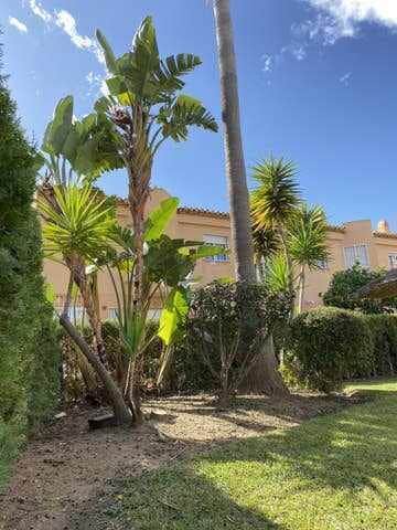 Photo of Outdoor in Marbella