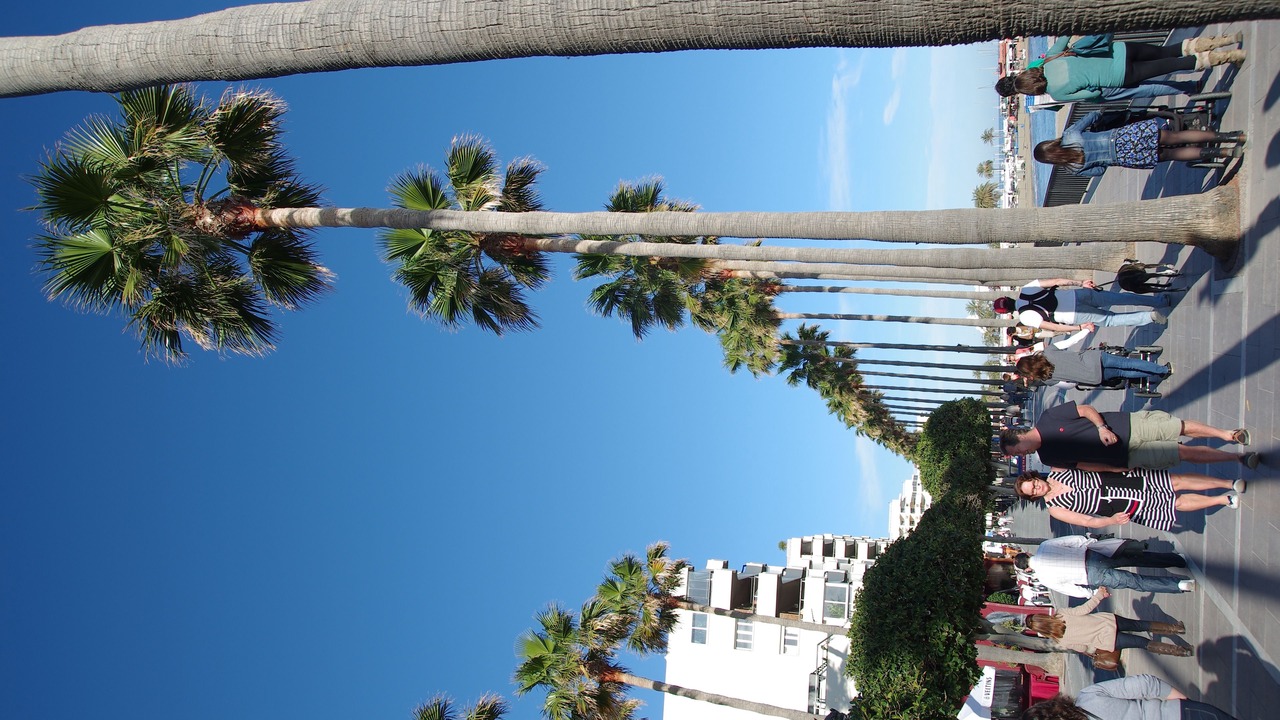 Photo of Others in Marbella City Centre
