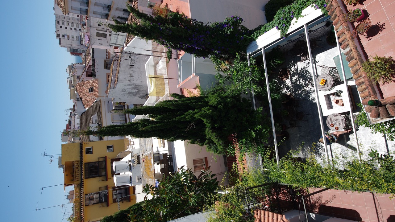 Photo of Others in Marbella City Centre