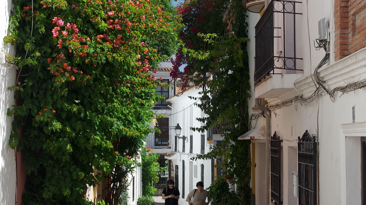 Photo of Others in Marbella City Centre
