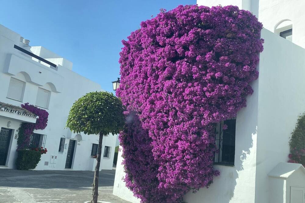Photo of Outdoor in Guadalmina