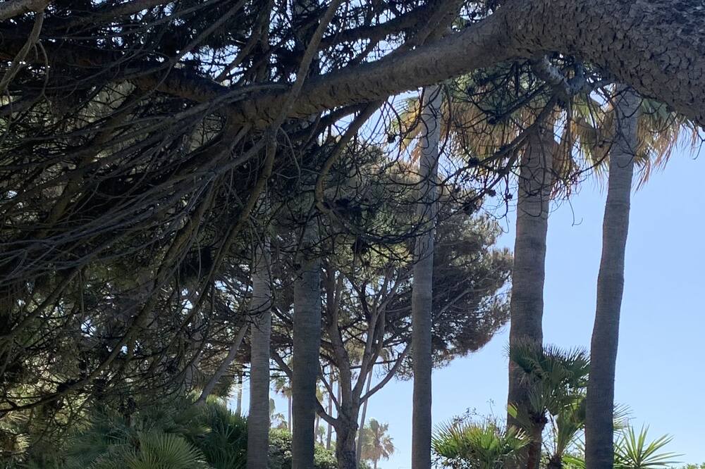 Photo of Outdoor in Nikki Beach