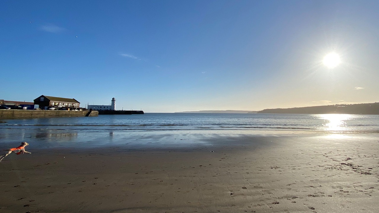 Photo of Others in Scarborough