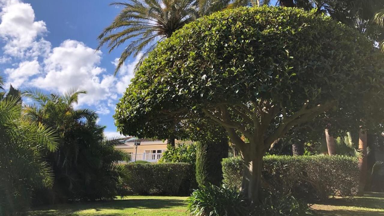 Photo of Outdoor in Urbanizacion Marbessa