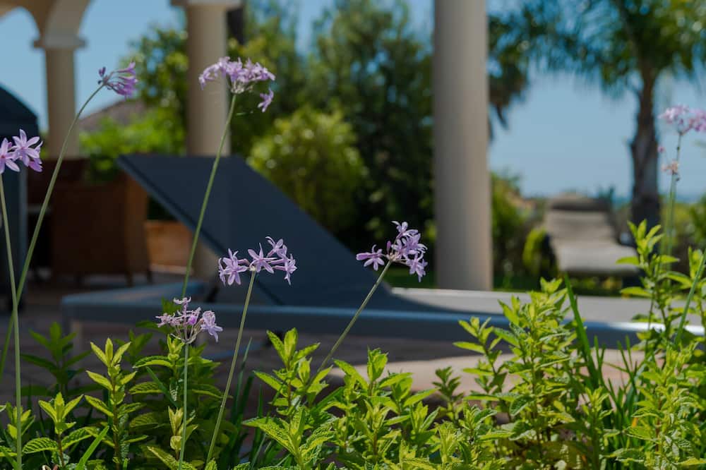 Photo of Outdoor in Elviria