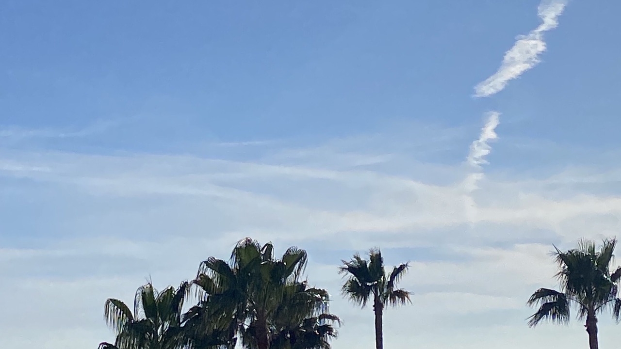 Photo of Others in Nikki Beach
