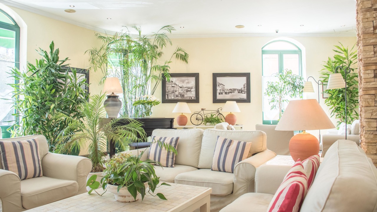 Photo of Others in Loule