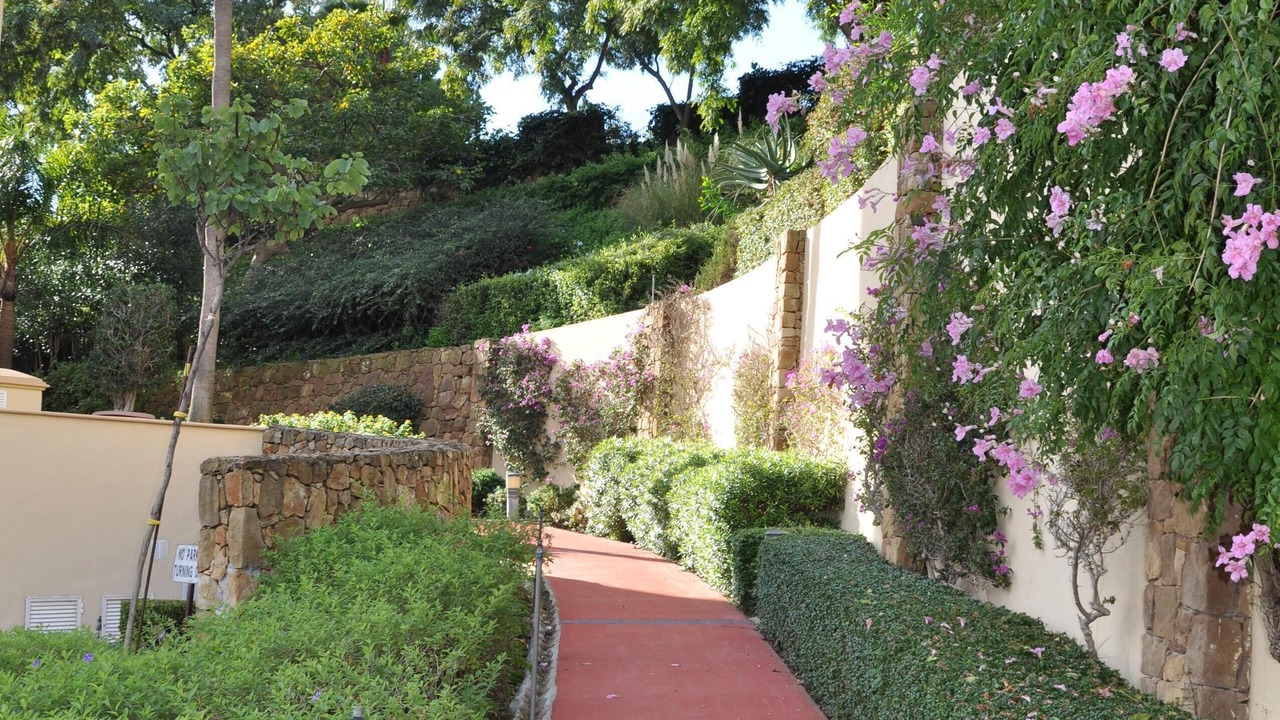 Photo of Others in Elviria