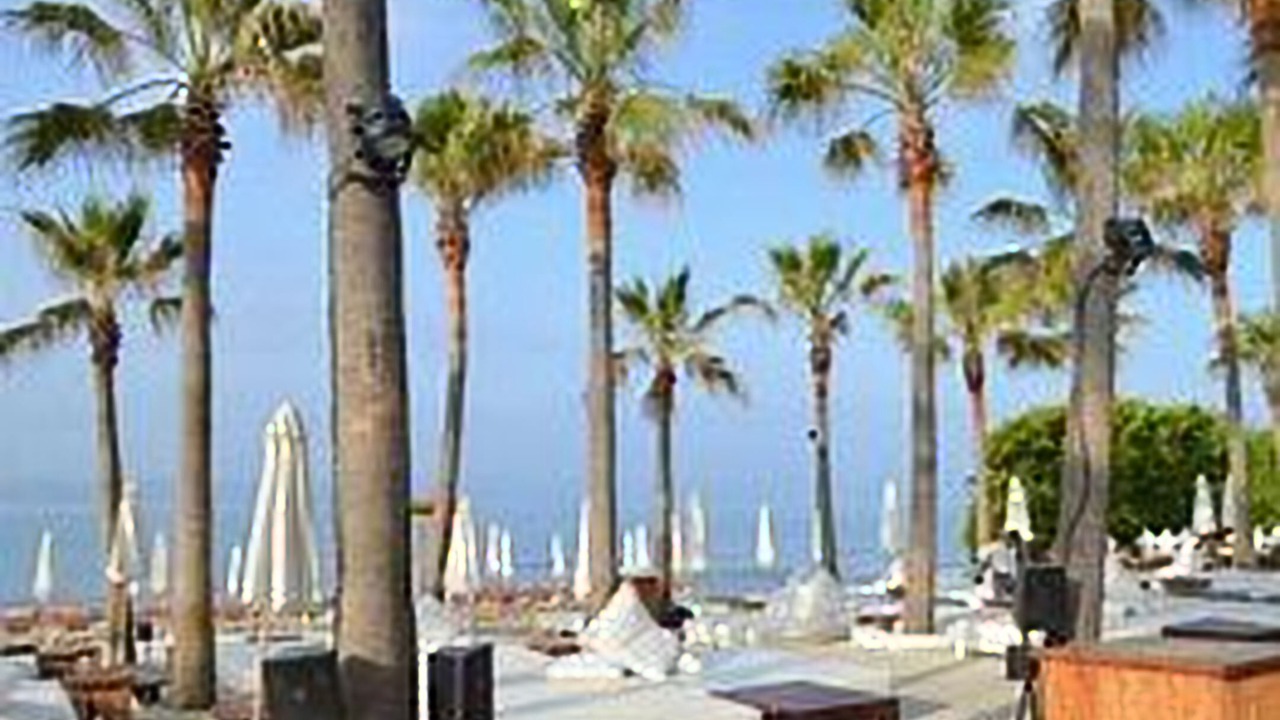 Photo of Outdoor in Elviria
