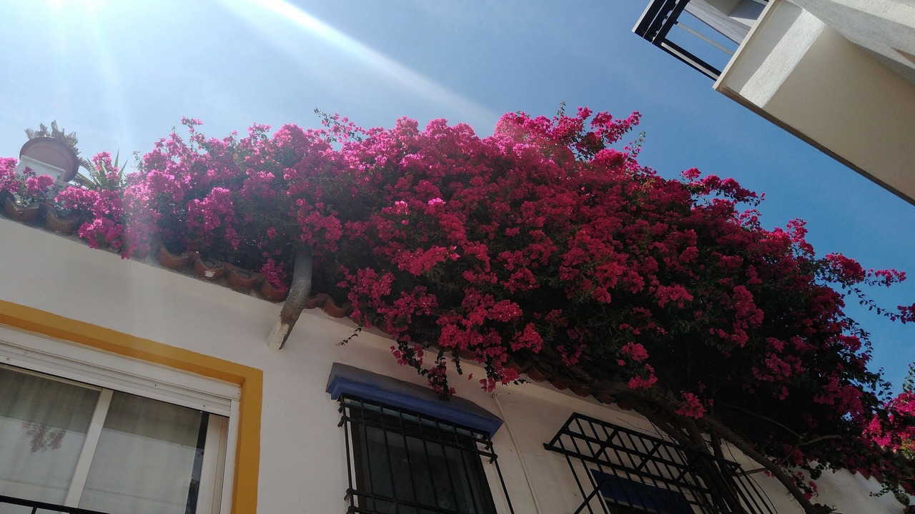 Photo of Outdoor in Cabopino