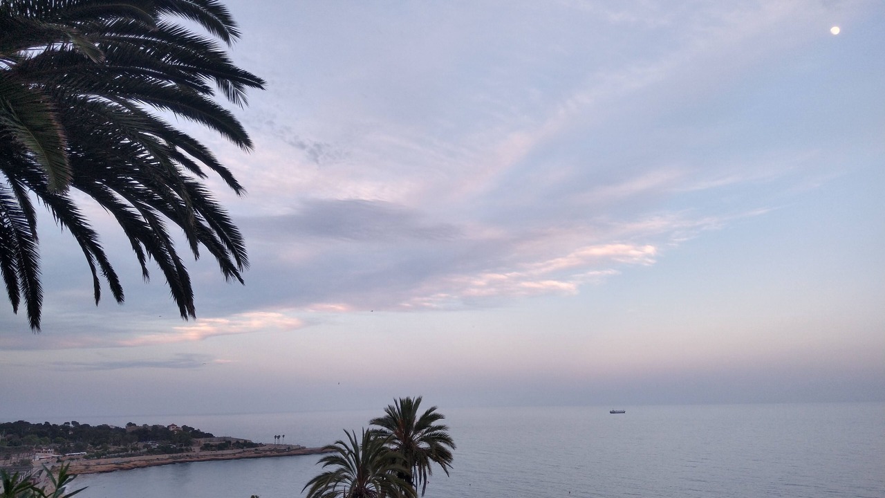 Photo of Others in Cabopino