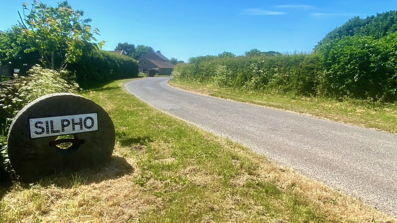Photo of Others in Scarborough