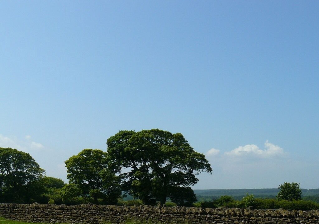 Photo of Outdoor in Scarborough