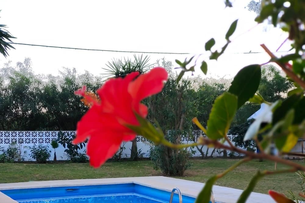 Photo of Outdoor in Urbanizacion el Rosario