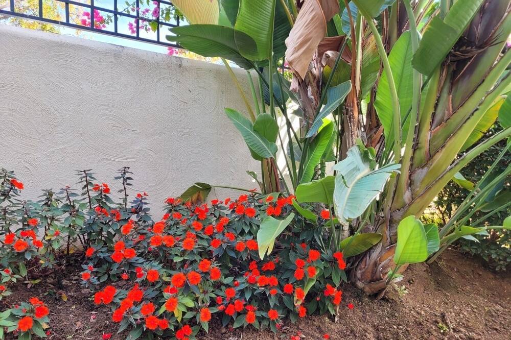 Photo of Outdoor in Elviria