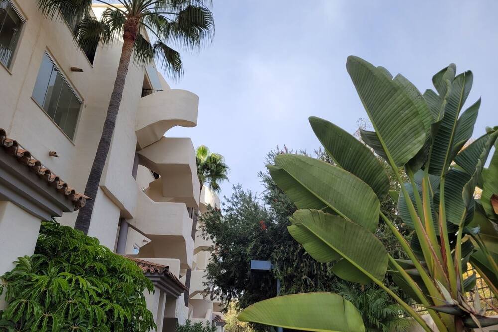 Photo of Outdoor in Elviria