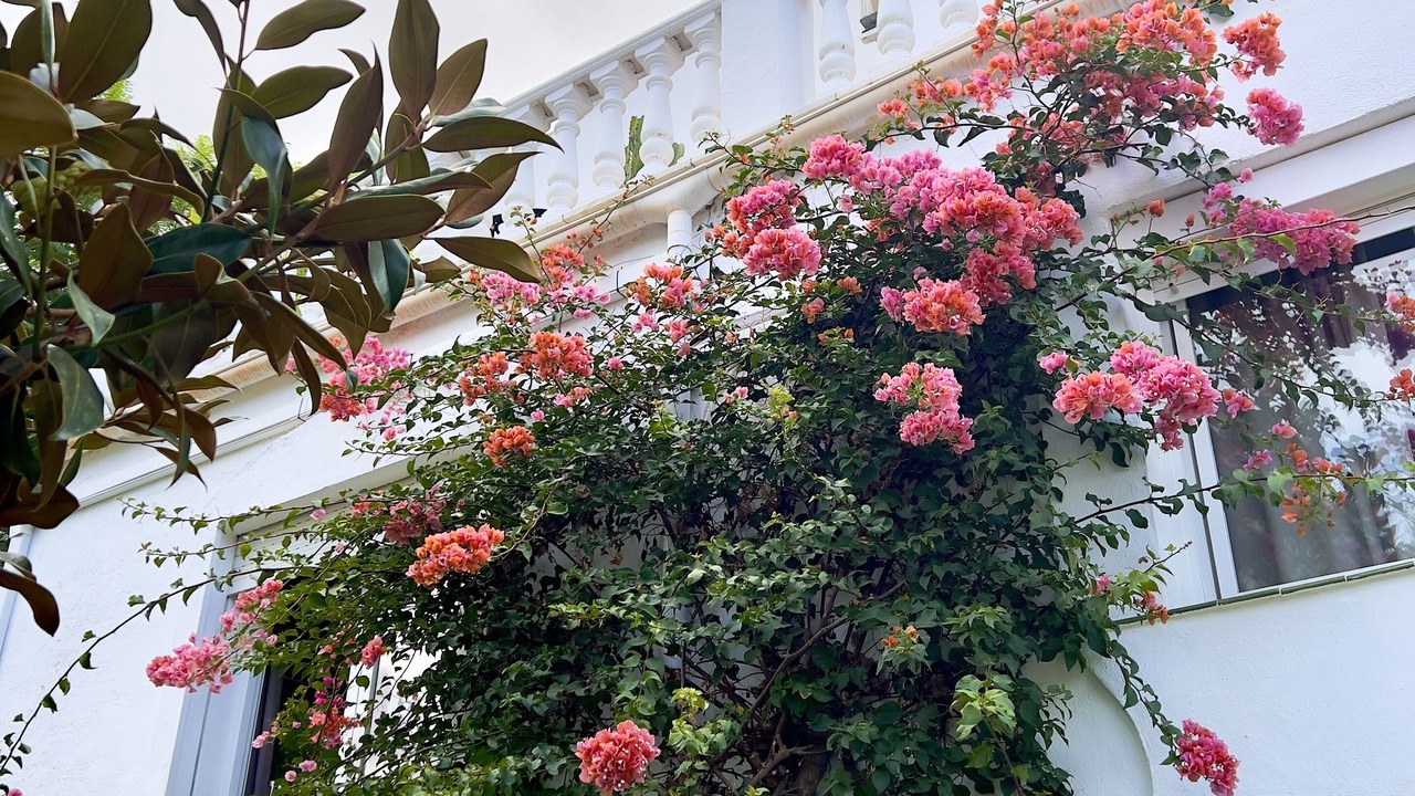 Photo of Outdoor in Urbanizacion el Rosario