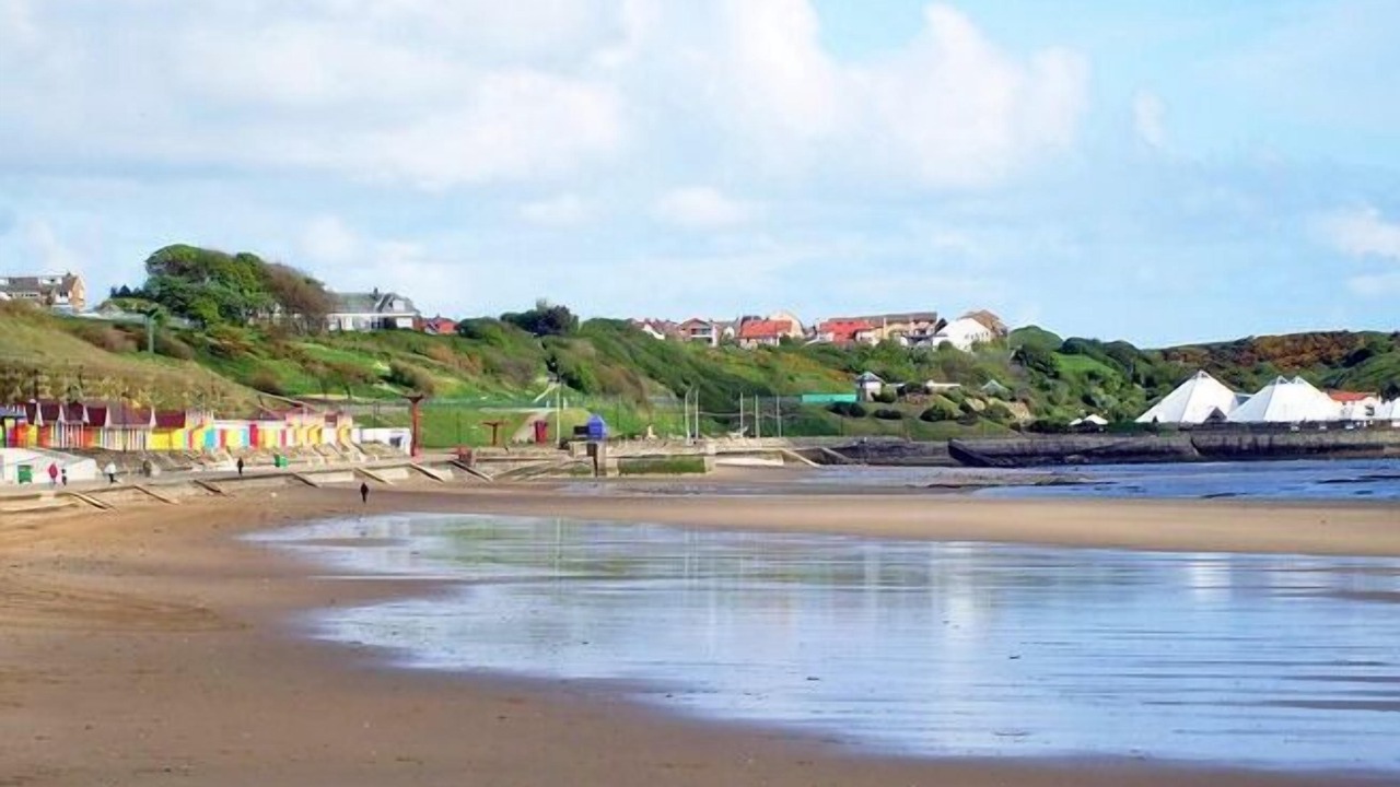 Photo of Others in Scarborough