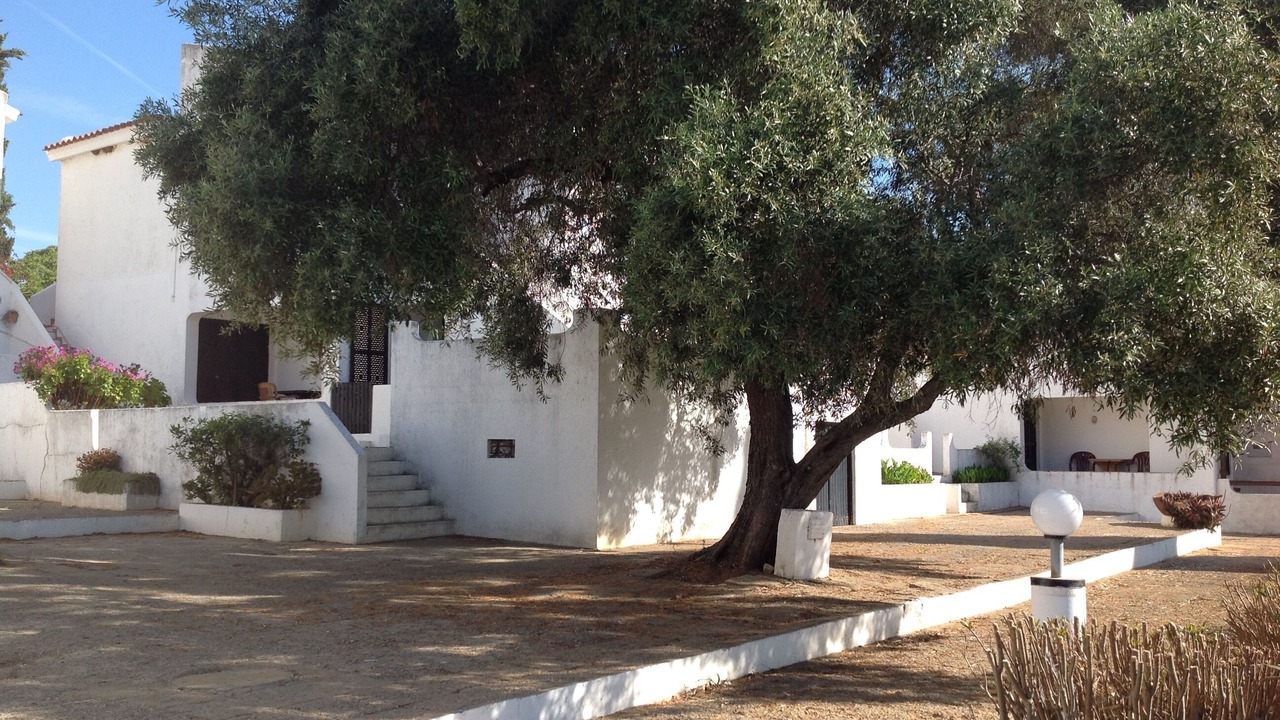 Photo of Outdoor in Santa Luzia