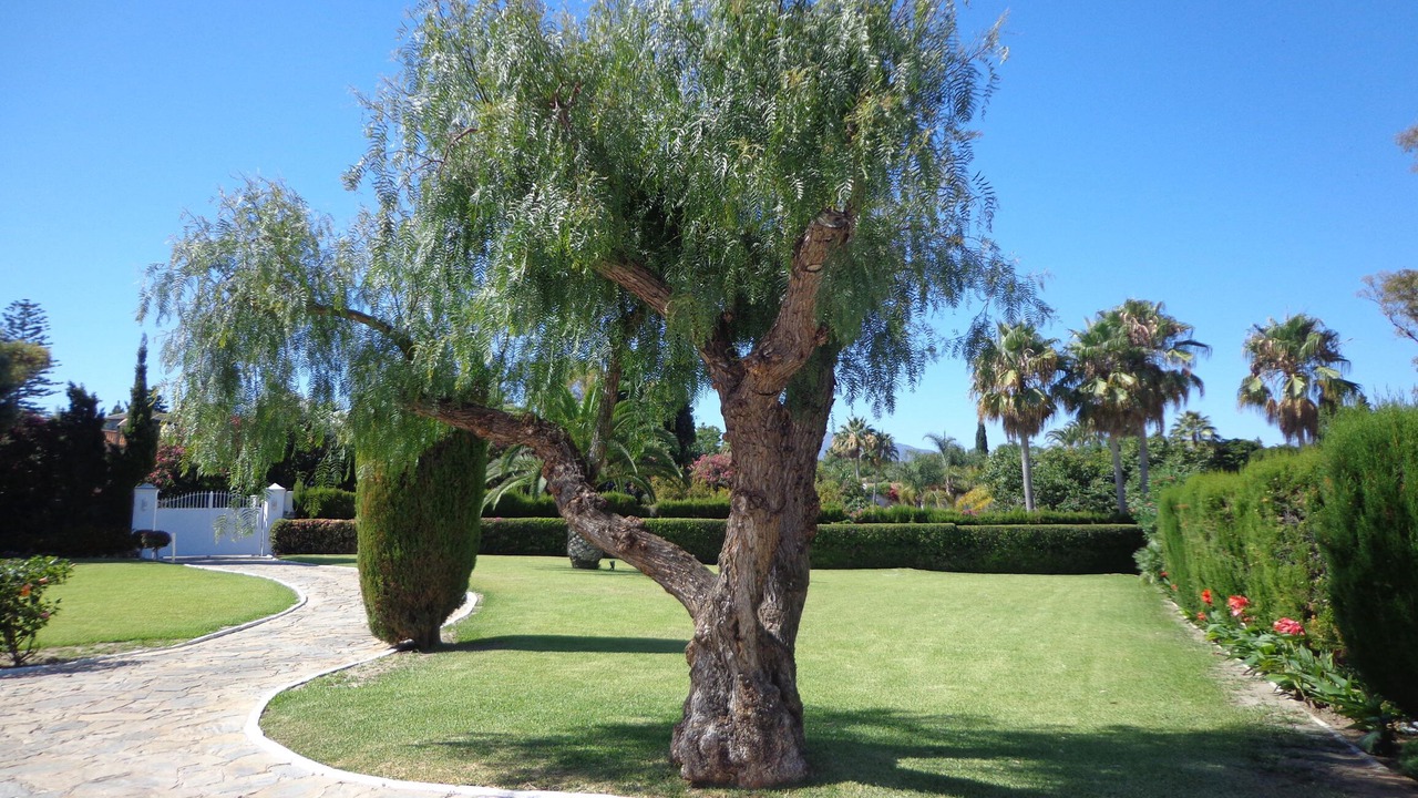 Photo of Others in Guadalmina